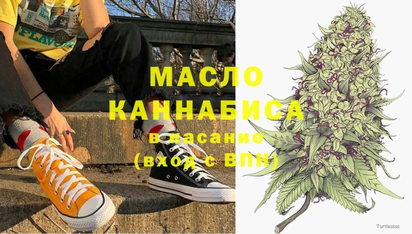 эйфоретик Няндома