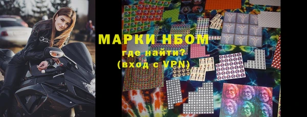 эйфоретик Няндома