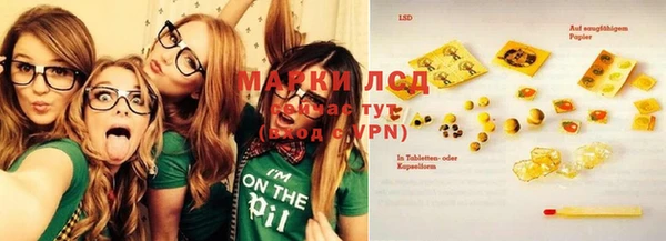 эйфоретик Няндома