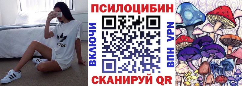 Галлюциногенные грибы Psilocybe  Купить закладки  Смоленск 